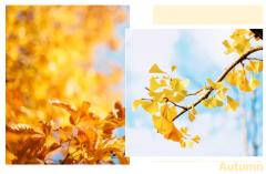 當(dāng)家居邂逅黃色系，精彩紛呈