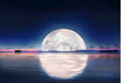 中秋煥新家，教你打造儀式感家居